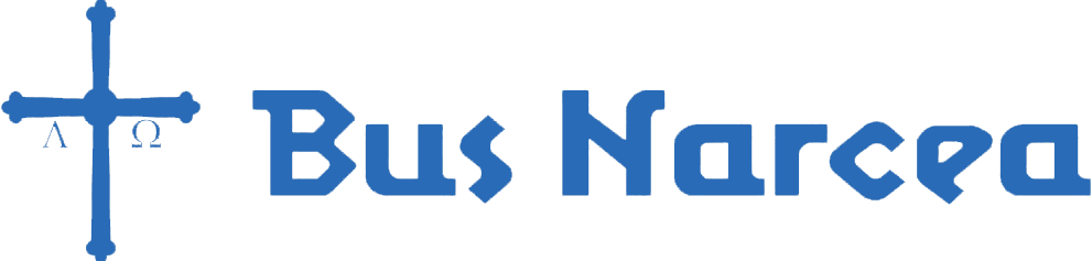 Bus Narcea